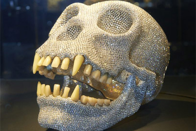 ape skull
