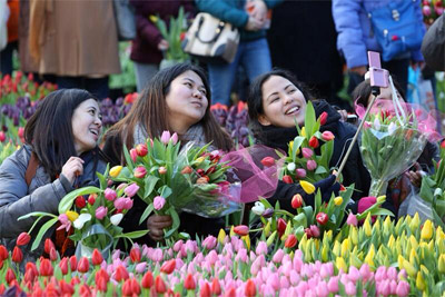 tulpendag