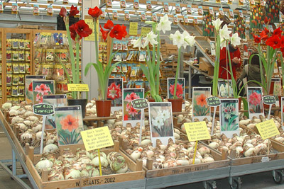 bloemenmarkt