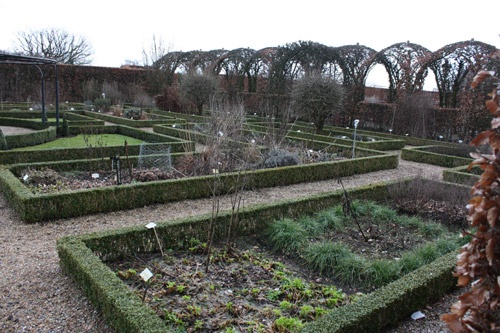 Herb garden
