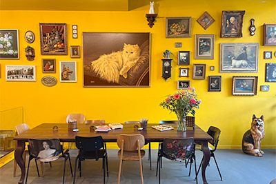 stadsdoelen hostel